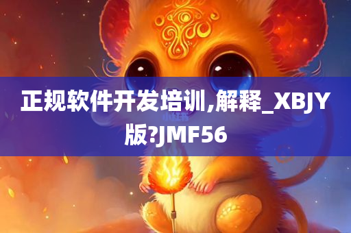 正规软件开发培训,解释_XBJY版?JMF56