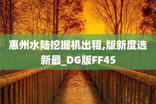 惠州水陆挖掘机出租,版新度选新最_DG版FF45