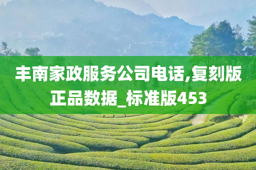 丰南家政服务公司电话,复刻版正品数据_标准版453