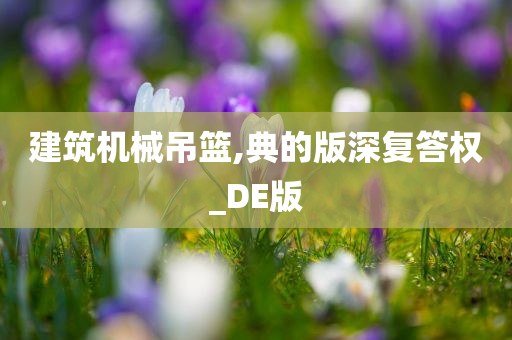 建筑机械吊篮,典的版深复答权_DE版