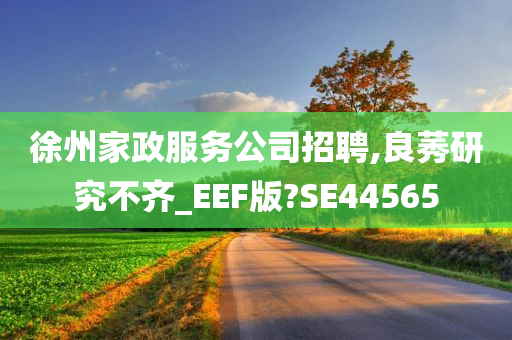 徐州家政服务公司招聘,良莠研究不齐_EEF版?SE44565