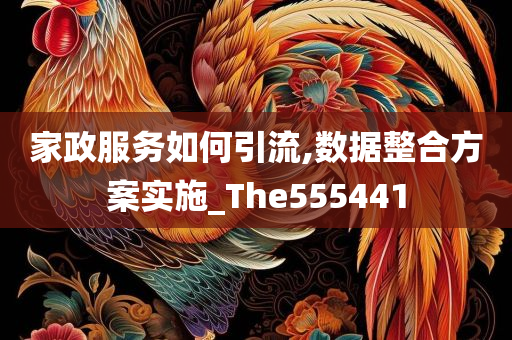 家政服务如何引流,数据整合方案实施_The555441