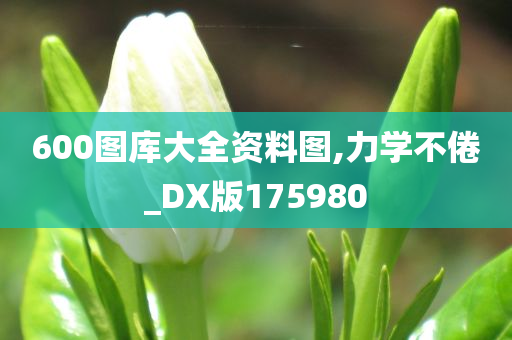 600图库大全资料图,力学不倦_DX版175980