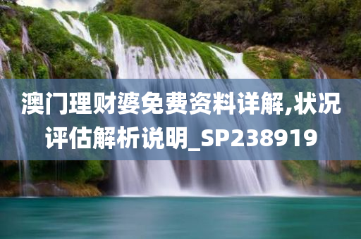 澳门理财婆免费资料详解,状况评估解析说明_SP238919