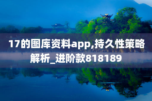 17的图库资料app,持久性策略解析_进阶款818189