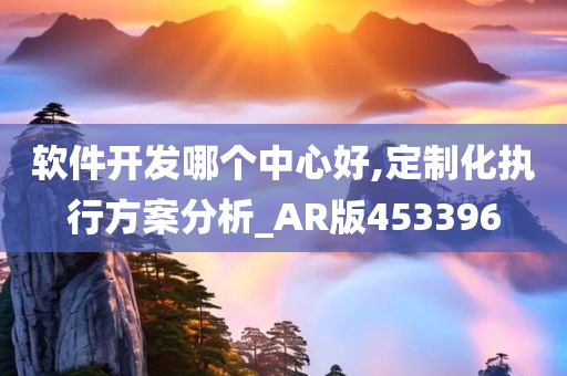 软件开发哪个中心好,定制化执行方案分析_AR版453396