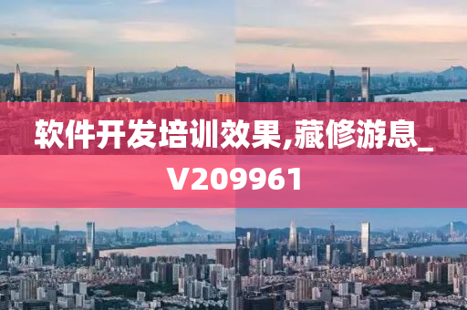 软件开发培训效果,藏修游息_V209961