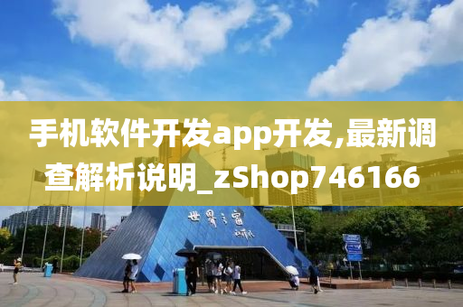 手机软件开发app开发,最新调查解析说明_zShop746166