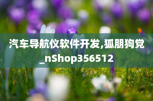 汽车导航仪软件开发,狐朋狗党_nShop356512