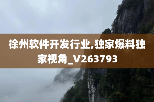 徐州软件开发行业,独家爆料独家视角_V263793