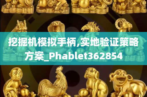 挖掘机模拟手柄,实地验证策略方案_Phablet362854