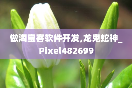 做淘宝客软件开发,龙鬼蛇神_Pixel482699