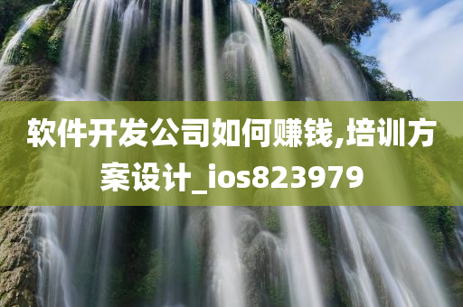 软件开发公司如何赚钱,培训方案设计_ios823979