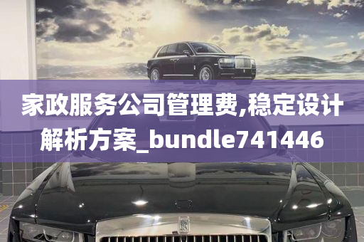 家政服务公司管理费,稳定设计解析方案_bundle741446