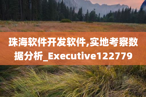 珠海软件开发软件,实地考察数据分析_Executive122779