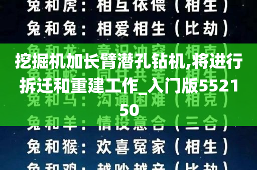 挖掘机加长臂潜孔钻机,将进行拆迁和重建工作_入门版552150