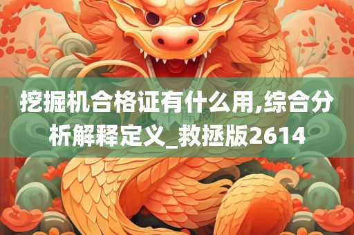 挖掘机合格证有什么用,综合分析解释定义_救拯版2614