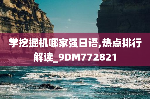 学挖掘机哪家强日语,热点排行解读_9DM772821