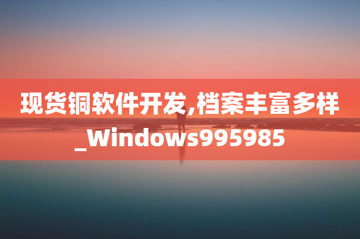 现货铜软件开发,档案丰富多样_Windows995985