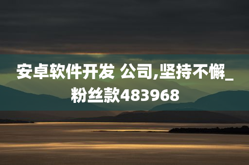 安卓软件开发 公司,坚持不懈_粉丝款483968