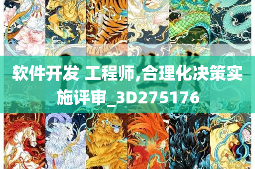 软件开发 工程师,合理化决策实施评审_3D275176