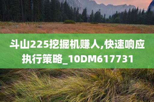 斗山225挖掘机赚人,快速响应执行策略_10DM617731