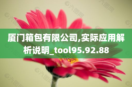 厦门箱包有限公司,实际应用解析说明_tool95.92.88