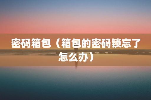 密码箱包（箱包的密码锁忘了怎么办）