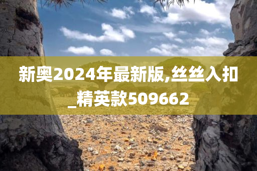 新奥2024年最新版,丝丝入扣_精英款509662