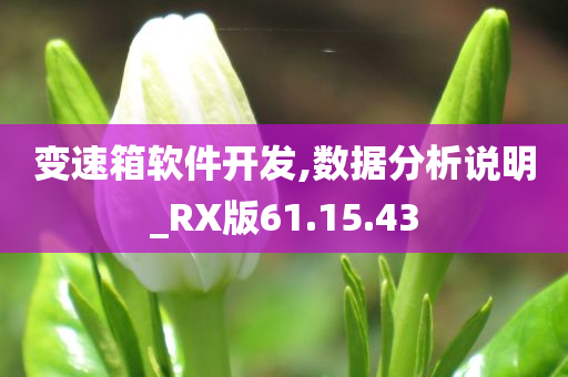 变速箱软件开发,数据分析说明_RX版61.15.43