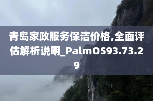 青岛家政服务保洁价格,全面评估解析说明_PalmOS93.73.29