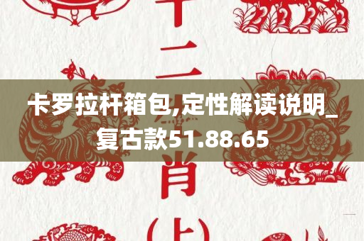 卡罗拉杆箱包,定性解读说明_复古款51.88.65