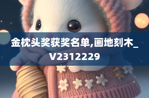 金枕头奖获奖名单,画地刻木_V2312229