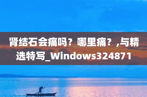 肾结石会痛吗？哪里痛？,与精选特写_Windows324871