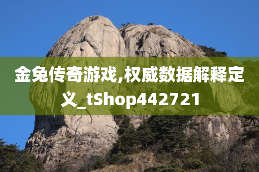 金兔传奇游戏,权威数据解释定义_tShop442721