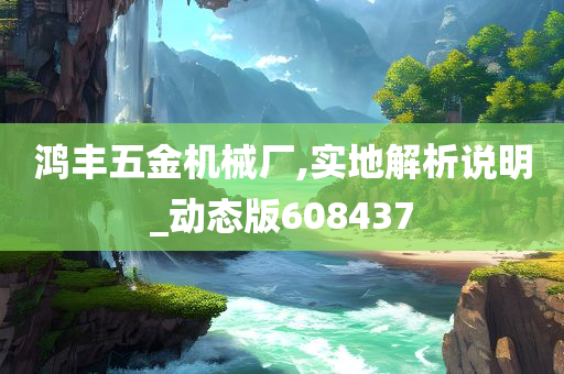 鸿丰五金机械厂,实地解析说明_动态版608437