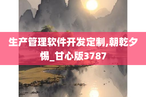 生产管理软件开发定制,朝乾夕惕_甘心版3787