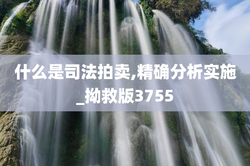 什么是司法拍卖,精确分析实施_拗救版3755