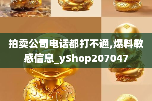 拍卖公司电话都打不通,爆料敏感信息_yShop207047