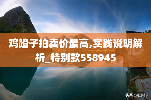 鸡蹬子拍卖价最高,实践说明解析_特别款558945