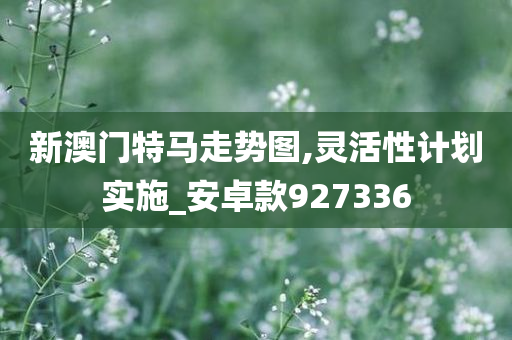 新澳门特马走势图,灵活性计划实施_安卓款927336