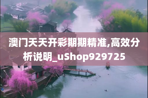 澳门天天开彩期期精准,高效分析说明_uShop929725