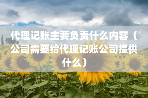 代理记账主要负责什么内容（公司需要给代理记账公司提供什么）