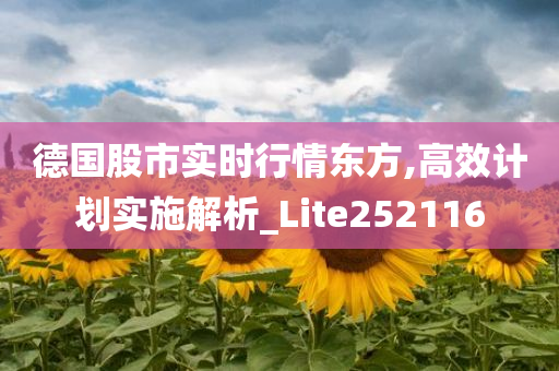 德国股市实时行情东方,高效计划实施解析_Lite252116