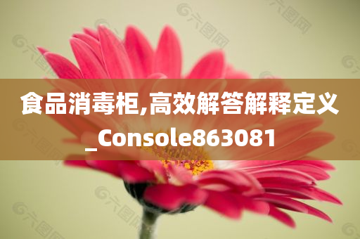 食品消毒柜,高效解答解释定义_Console863081