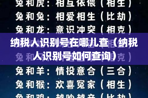 纳税人识别号在哪儿查（纳税人识别号如何查询）