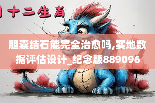 胆囊结石能完全治愈吗,实地数据评估设计_纪念版889096