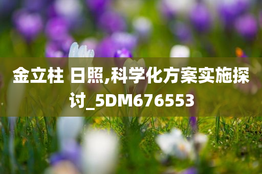 金立柱 日照,科学化方案实施探讨_5DM676553