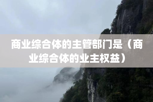 商业综合体的主管部门是（商业综合体的业主权益）