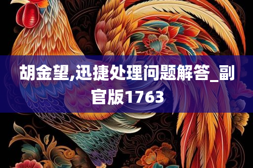 胡金望,迅捷处理问题解答_副官版1763